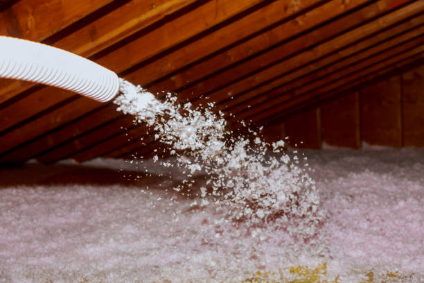 Best Insulation Installation Services in Elwood, IN