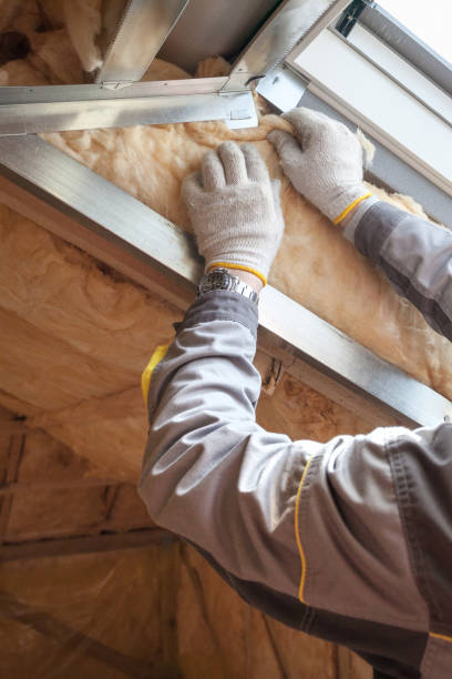 Best Commercial Insulation in Elwood, IN