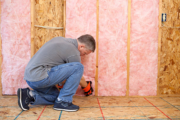 Best Residential Insulation in Elwood, IN